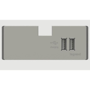 Adorne - 2.1Amp USB Outlet Module