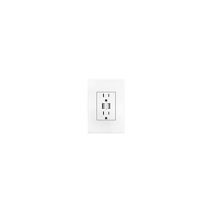 Dual USB Plus-Size Outlet Combo with Matching Wall Plate - 1046169