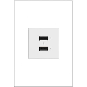 adorne Full-Size-A/A USB Outlet-Magnesium