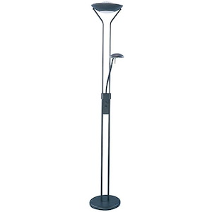 Duality II - Torchiere/Reading Lamp