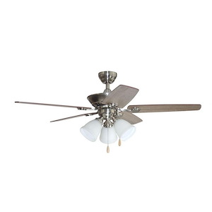 Duhamel - 5 Blade Ceiling Fan with Light Kit-19 Inches Tall and 48 Inches Wide