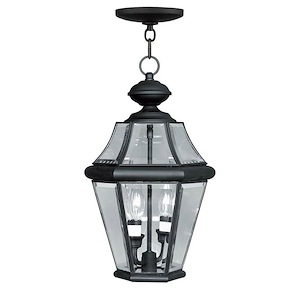 Georgetown - 2 Light Outdoor Pendant Lantern in Traditional Style - 10.25 Inches wide by 18.75 Inches high - 189796