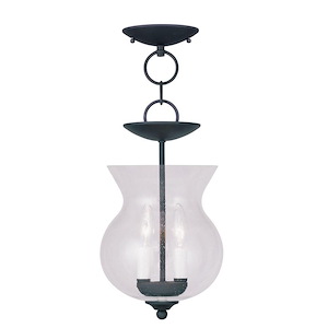 Legacy - 2 Light Convertible Mini Pendant in Traditional Style - 8.25 Inches wide by 18 Inches high