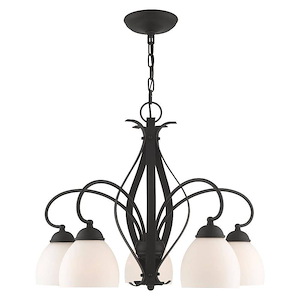 Brookside - 5 Light Chandelier in New Traditional Style - 26 Inches wide by 20 Inches high - 374732