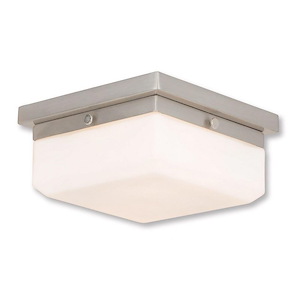 Allure - 21W 2 LED Flush Mount - 13 Inches wide by 4 Inches high