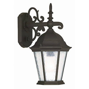 Hamilton - 1 Light Outdoor Wall Lantern in Traditional Style - 8 Inches wide by 15.25 Inches high