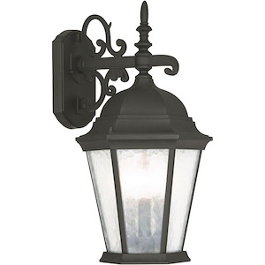 Hamilton - 1 Light Outdoor Wall Lantern in Traditional Style - 8 Inches wide by 20 Inches high - 476937