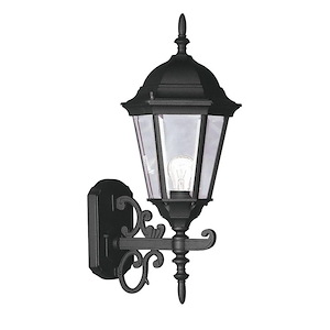 Hamilton - 1 Light Outdoor Wall Lantern in Traditional Style - 8 Inches wide by 20 Inches high