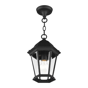 Hamilton - 1 Light Outdoor Pendant Lantern in Traditional Style - 8 Inches wide by 12.5 Inches high
