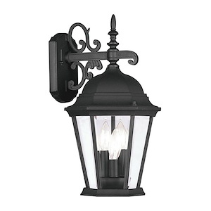 Hamilton - 1 Light Outdoor Pendant Lantern in Traditional Style - 8 Inches wide by 12.5 Inches high - 190250
