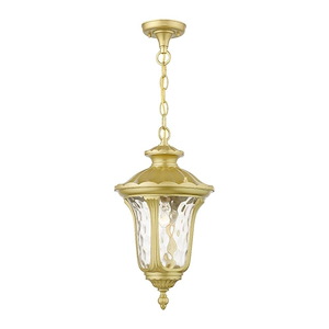 Oxford - 1 Light Outdoor Medium Pendant Lantern-17.5 Inches Tall and 9.5 Inches Wide - 1292265
