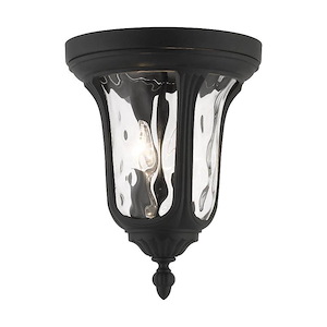 Oxford - 2 Light Outdoor Flush Mount in Traditional Style - 11 Inches wide by 13.75 Inches high