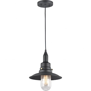 Clarkson-1 Light 60 Watt Pendant-10 Inch Wide and 13 Inch Tall - 885585