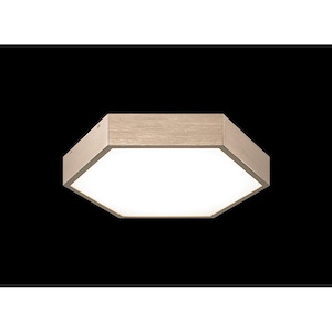 Hexol-1 Light Flush Mounts-14 Inch Wide and 2 Inch Tall
