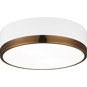 Trydor-2 Light 60 Watt Ceiling Mount-12 Inch Wide and 4 Inch Tall