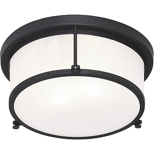 Caisse Claire-2 Light 60 Watt Ceiling Mount-12 Inch Wide and 5 Inch Tall