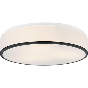 Echo-3 Light 42 Watt Ceiling Mount-16 Inch Wide and 16 Inch Tall - 1161280