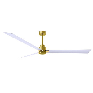Alessandra - 3 Blade Ceiling Fan-8 Inches Tall and 72 Inches Wide - 1315515