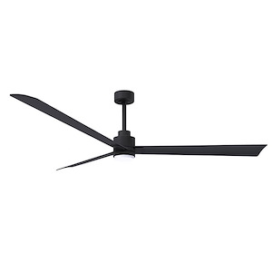 Alessandra - 3 Blade Ceiling Fan with Light Kit-8 Inches Tall and 72 Inches Wide - 1315518