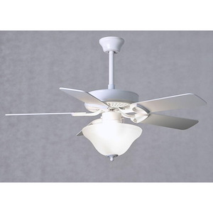 America Builder Fan with LED Light Kit in Contemporary and Transitional Style 12 Inches Tall and 42 Inches Wide - 1218301