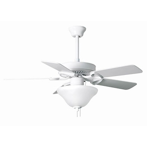 America Builder Fan with LED Light Kit in Contemporary and Transitional Style 12 Inches Tall and 42 Inches Wide - 1218160