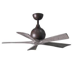 Irene-5 5-Blade 42 Inch Ceiling Fan In Contemporary and Transitional Style - 1149090
