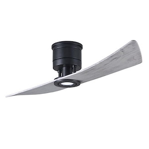Lindsay - 2 Blade Ceiling Fan with Light Kit In Contemporary and Transitional Style-10 Inches Tall and 52 Inches Wide