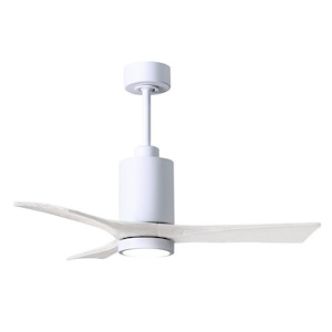 Patricia-3 Three Blade Ceiling Fan with LED Light Kit in Contemporary Style 42 Inches Wide