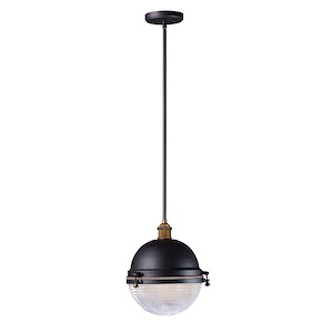 Portside-1 Light Outdoor Pendant in Industrial style-11.75 Inches wide by 13.25 inches high