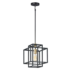 Liner-One Light Pendant-9.75 Inches wide by 13 inches high