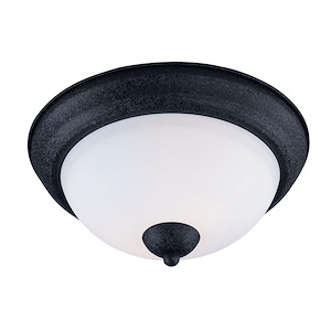 Taylor - 11.25 Inch Two Light Flush Mount
