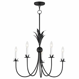 Paloma - 5 Light Chandelier-22.5 Inches Tall and 26 Inches Wide