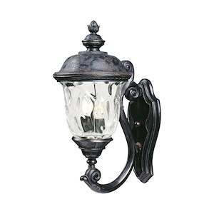 Carriage House-DC-2 Light Outdoor Wall Lantern in Early American style-9 Inches wide by 20 inches high - 1213761