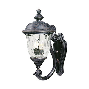Carriage House VX - Two Light Outdoor Wall Mount made with Vivex Material for Coastal Environments - 168706