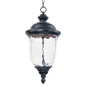 Carriage House - 25 Inch 12W 1 LED Outdoor Hanging Lantern