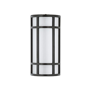 Moon Ray-Outdoor Wall Lantern Stainless Steel/Opal Acrylic-6 Inches wide by 12 inches high - 549700