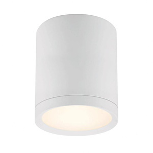 Lightray - 5 Inch 15W 1 LED Outdoor Flush Mount