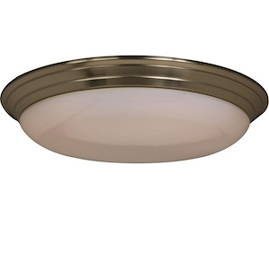 Classic EE-2 Light Flush 22w-32w in Other style-17 Inches wide by 4 inches high