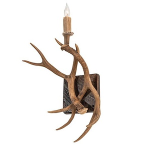 Antlers Elk and Mule Deer - 1 Light Wall Sconce-20 Inches Tall and 14 Inches Wide