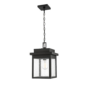 Belle Chasse - 1 Light Outdoor Hanging Lantern-17 Inches Tall and 10.5 Inches Wide