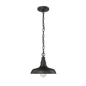 1 Light Outdoor Hanging Lantern-73.7 Inches Tall and 10.68 Inches Wide