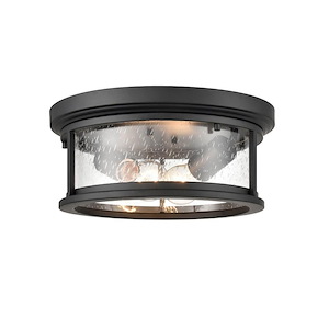 Bresley - 2 Light Outdoor Flush Mount-5.25 Inches Tall and 12 Inches Wide