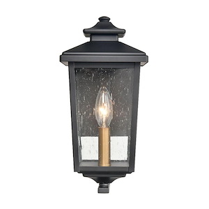 Eldrick - 1 Light Outdoor Hanging Lantern-12.25 Inches Tall and 5.75 Inches Wide