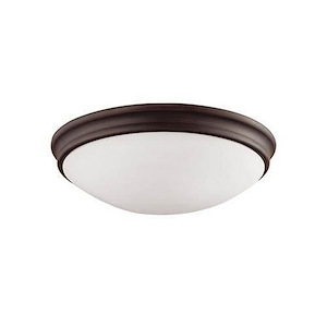 2 Light Flush Mount-5 Inches Tall and 12 Inches Wide