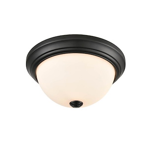 2 Light Flush Mount-5.4 Inches Tall and 11 Inches Wide