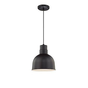 R Series - 1 Light Pendant-11 Inches Tall and 10 Inches Wide