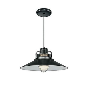 R Series - 1 Light Pendant-10 Inches Tall and 18 Inches Wide