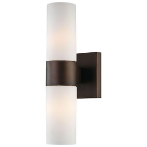 2 Light Wall Sconce in Contemporary Style - 13.5 inches tall by 4.5 inches wide
