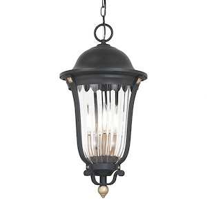 Peale Street - 4 Light Outdoor Chain Hung In 24 - 1084720