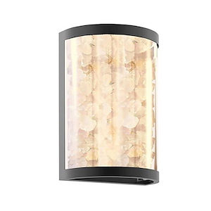 Salt Creek - 19.8W LED Outdoor Wall Sconce-12.75 Inches Tall and 5 Inches Wide